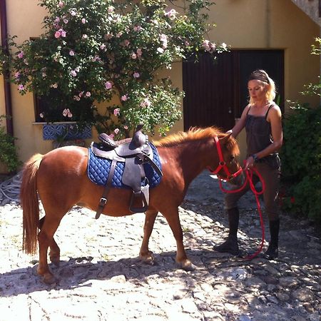 Agriturismo Ridocco Corleone Luaran gambar