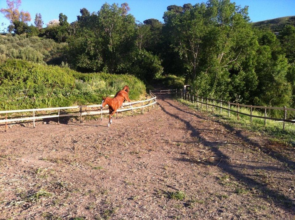Agriturismo Ridocco Corleone Luaran gambar