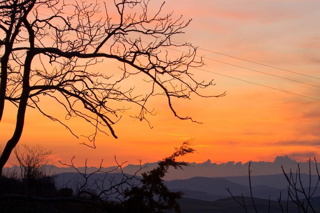 Agriturismo Ridocco Corleone Luaran gambar
